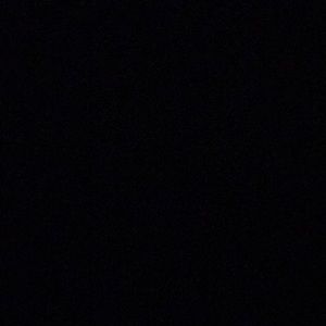 Meet your Posher, Tyona